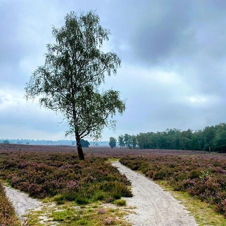 Huisje Aan De Bosrand - Veluwe Epe Εξωτερικό φωτογραφία